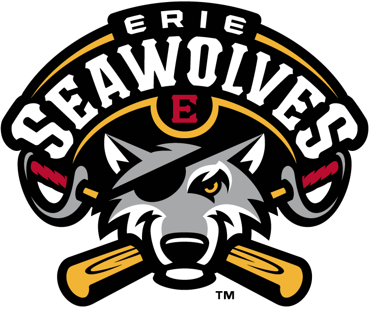 Erie SeaWolves 2013-Pres Primary Logo iron on paper